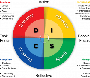 TRAINING ONLINE MASTERING THE DISC PROFILE (EXPANDED DISC)