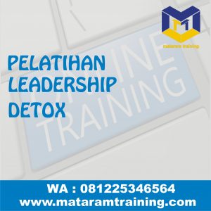 TRAINING ONLINE LEADERSHIP DETOX