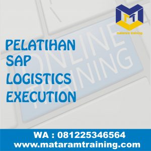 TRAINING ONLINE SAP LOGISTICS EXECUTION