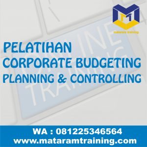 TRAINING ONLINE CORPORATE BUDGETING : PLANNING & CONTROLLING