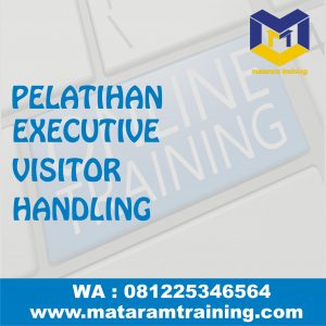 TRAINING ONLINE EXECUTIVE VISITOR HANDLING