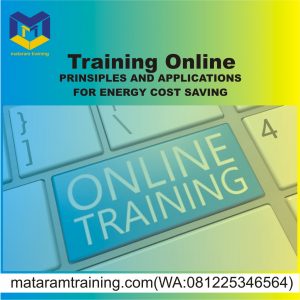 TRAINING ONLINE PRINSIPLES AND APPLICATIONS FOR ENERGY COST SAVING