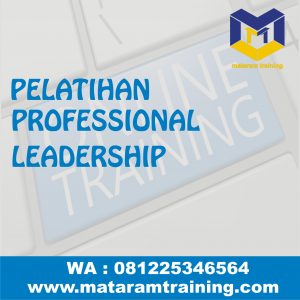 TRAINING ONLINE PROFESSIONAL LEADERSHIP