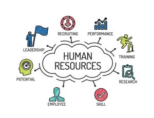 TRAINING ONLINE JOB ANALYSIS & ITS APPLICATION FOR HUMAN RESOURCE MANAGEMENT