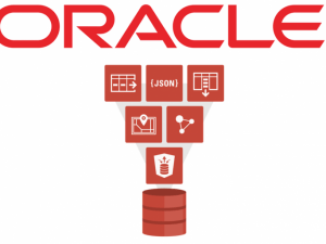 TRAINING ONLINE ORACLE DATABASE ADMINISTRATOR I