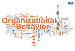 TRAINING ONLINE ORGANIZATIONAL BEHAVIOR