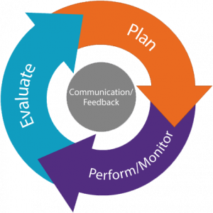 TRAINING ONLINE PERFORMANCE PLANNING AND EVALUATION