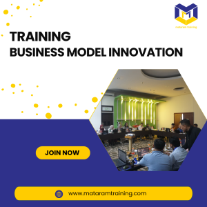 TRAINING BUSINESS MODEL INNOVATION